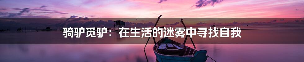 骑驴觅驴:在生活的迷雾中寻找自我