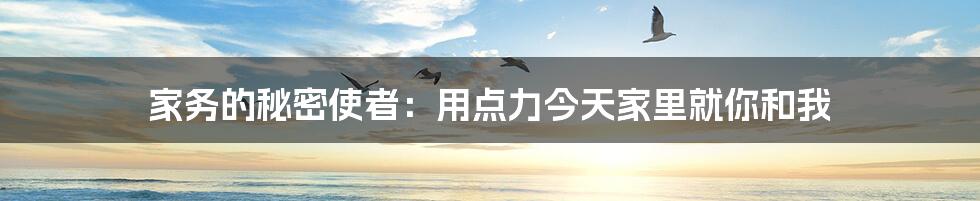 家务的秘密使者:用点力今天家里就你和我