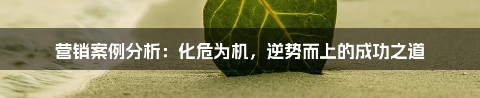 营销案例分析:化危为机,逆势而上的成功之道