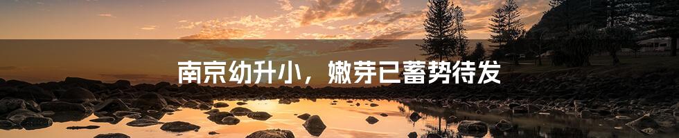 南京幼升小，嫩芽已蓄势待发