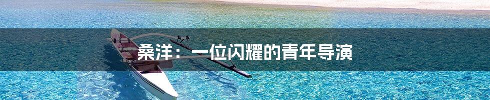 桑洋:一位闪耀的青年导演