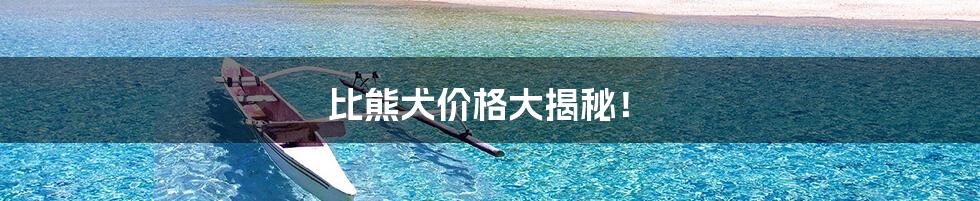 比熊犬价格大揭秘！