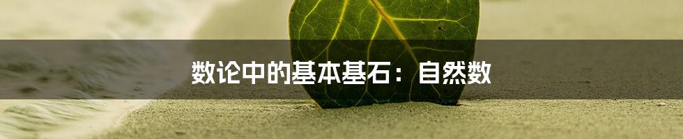 数论中的基本基石:自然数