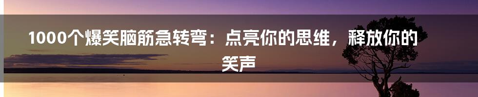 1000个爆笑脑筋急转弯:点亮你的思维,释放你的笑声