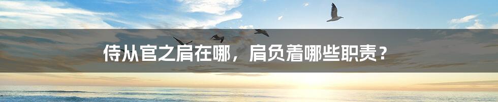 侍从官之肩在哪，肩负着哪些职责？