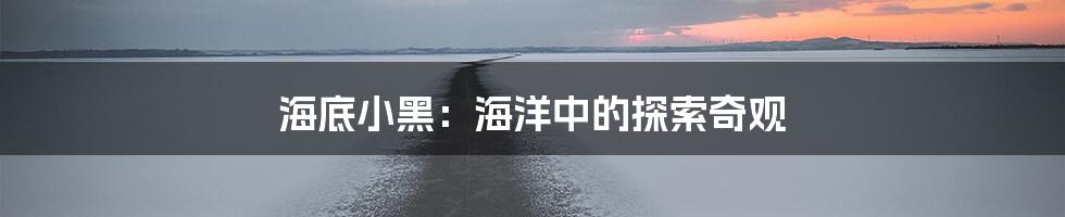 海底小黑：海洋中的探索奇观