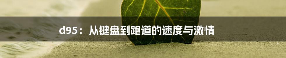 d95:从键盘到跑道的速度与激情