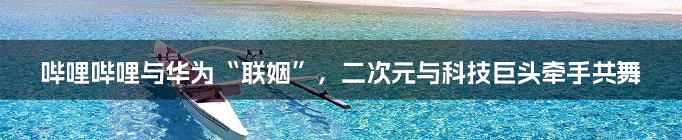 哔哩哔哩与华为“联姻”，二次元与科技巨头牵手共舞