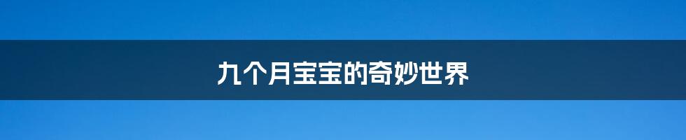 九个月宝宝的奇妙世界