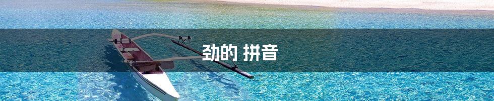 劲的 拼音