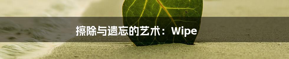 擦除与遗忘的艺术:Wipe