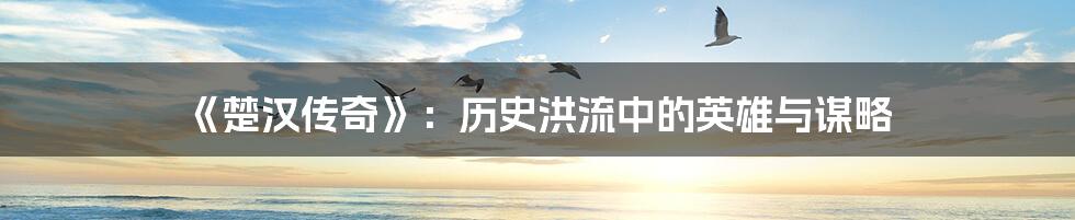 《楚汉传奇》:历史洪流中的英雄与谋略