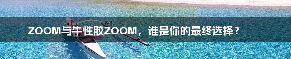 ZOOM与牛性胶ZOOM,谁是你的最终选择?