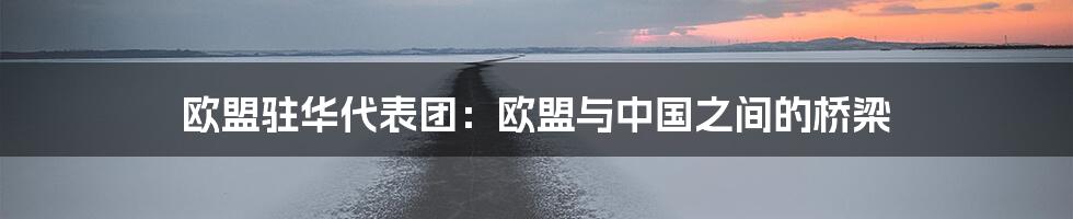 欧盟驻华代表团:欧盟与中国之间的桥梁