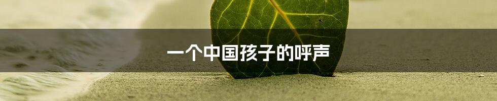 一个中国孩子的呼声