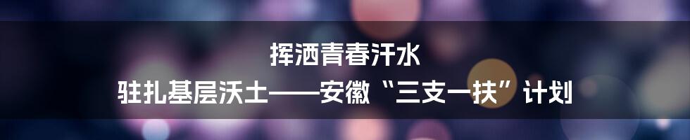 挥洒青春汗水 驻扎基层沃土——安徽“三支一扶”计划