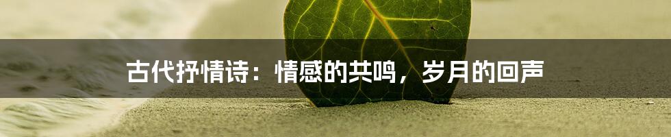 古代抒情诗:情感的共鸣,岁月的回声