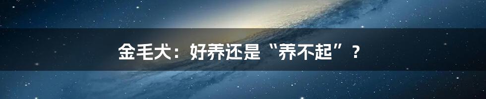 金毛犬:好养还是“养不起”?
