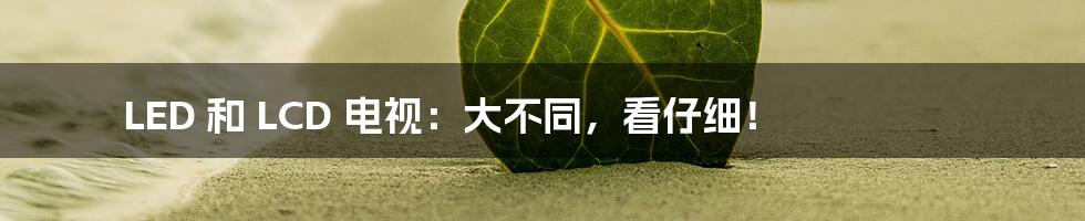 LED 和 LCD 电视:大不同,看仔细!