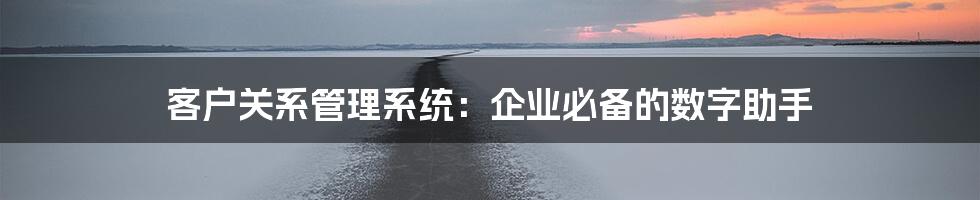 客户关系管理系统:企业必备的数字助手