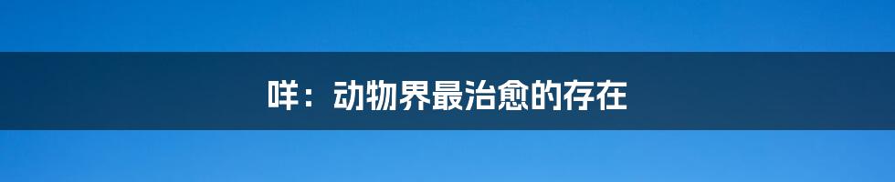 咩:动物界最治愈的存在