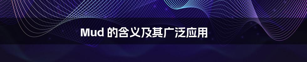 Mud 的含义及其广泛应用