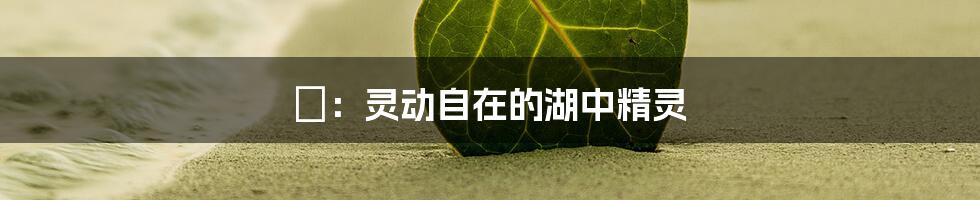 翃：灵动自在的湖中精灵