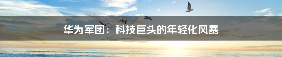 华为军团:科技巨头的年轻化风暴