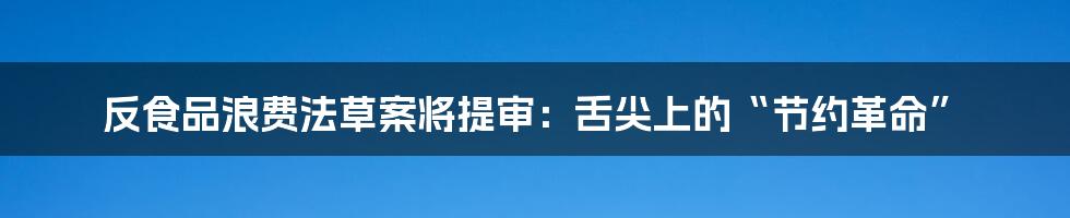 反食品浪费法草案将提审:舌尖上的“节约革命”