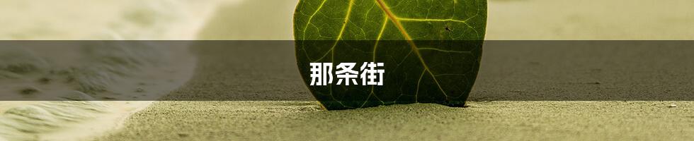 那条街
