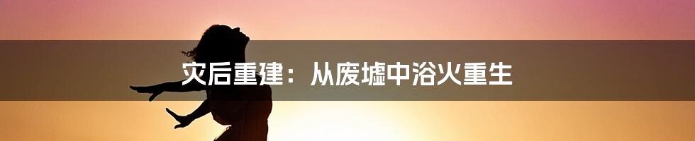 灾后重建:从废墟中浴火重生