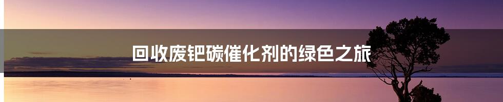 回收废钯碳催化剂的绿色之旅