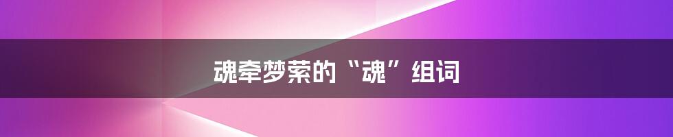 魂牵梦萦的“魂”组词