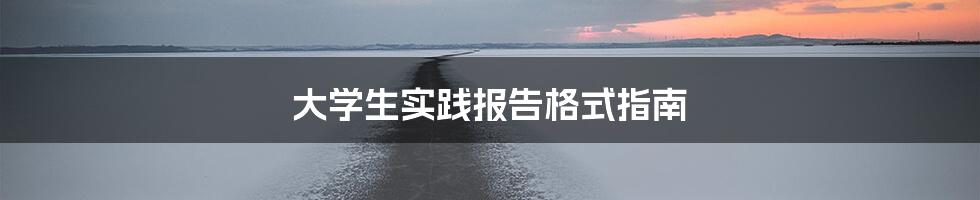 大学生实践报告格式指南