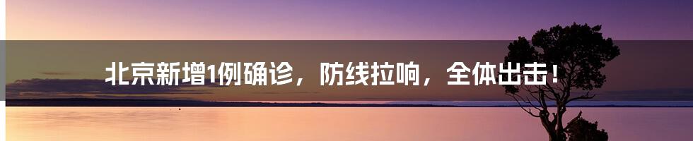 北京新增1例确诊,防线拉响,全体出击!