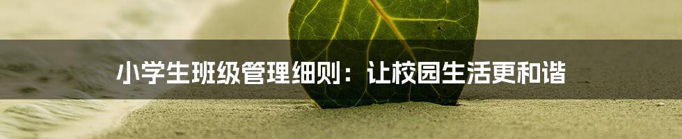 小学生班级管理细则:让校园生活更和谐
