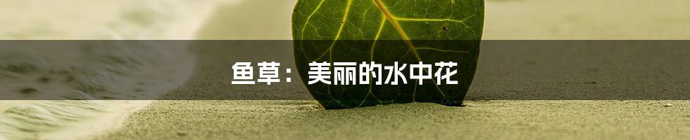 鱼草：美丽的水中花