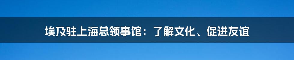 埃及驻上海总领事馆:了解文化、促进友谊