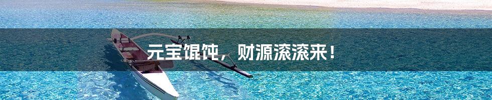 元宝馄饨,财源滚滚来!