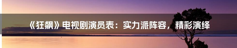 《狂飙》电视剧演员表:实力派阵容,精彩演绎
