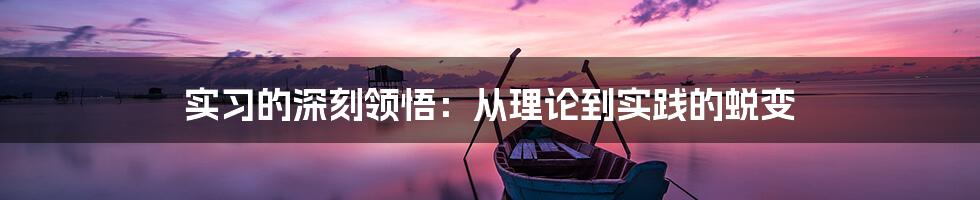 实习的深刻领悟:从理论到实践的蜕变