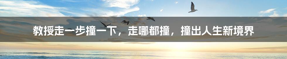 教授走一步撞一下,走哪都撞,撞出人生新境界