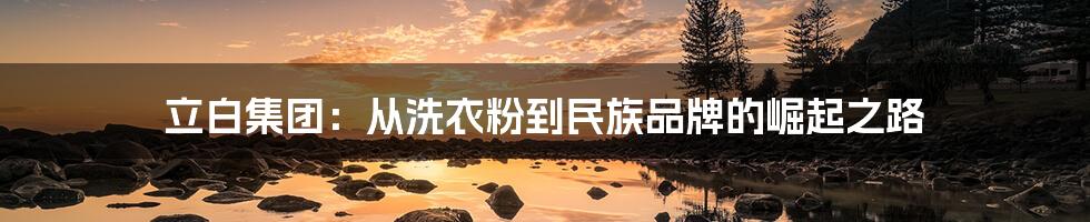 立白集团:从洗衣粉到民族品牌的崛起之路