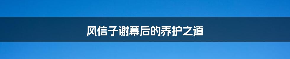 风信子谢幕后的养护之道