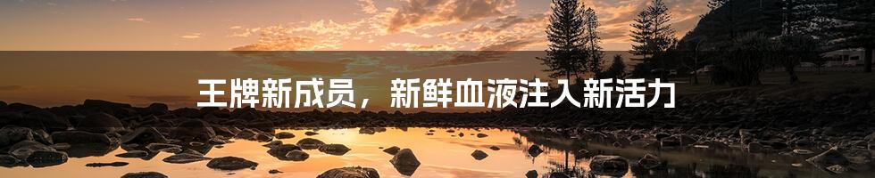 王牌新成员,新鲜血液注入新活力