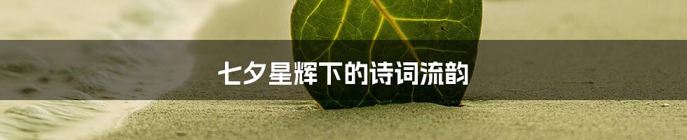 七夕星辉下的诗词流韵