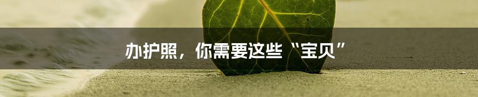 办护照，你需要这些“宝贝”