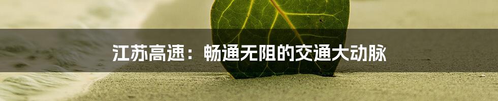 江苏高速：畅通无阻的交通大动脉