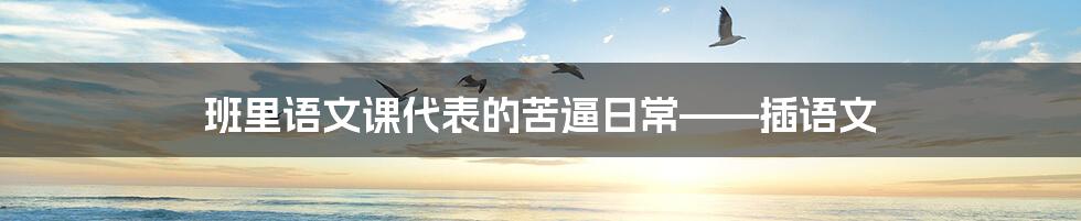 班里语文课代表的苦逼日常——插语文