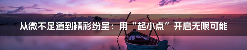 从微不足道到精彩纷呈：用“起小点”开启无限可能